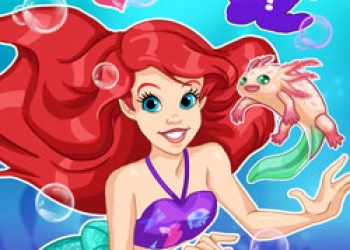 Mermaid Pet Shop